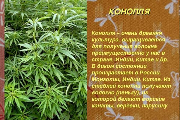 Ссылка на кракен в тор на сегодня