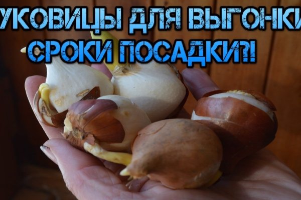 Рабочая ссылка на кракен