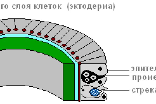 Какая ссылка на кракен