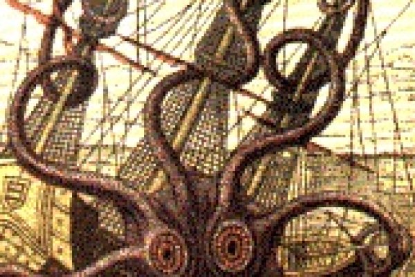 Как зайти на kraken в 2024